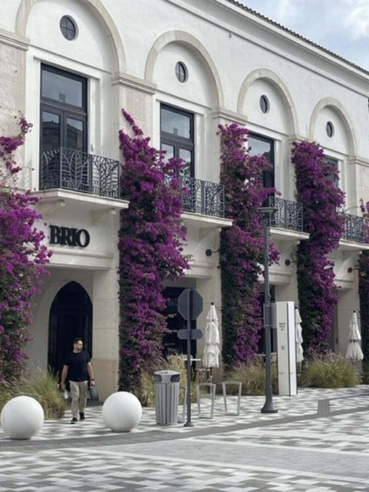 3516 Whitehall Drive, Unit 303, West Palm Beach, FL 33401 Photo