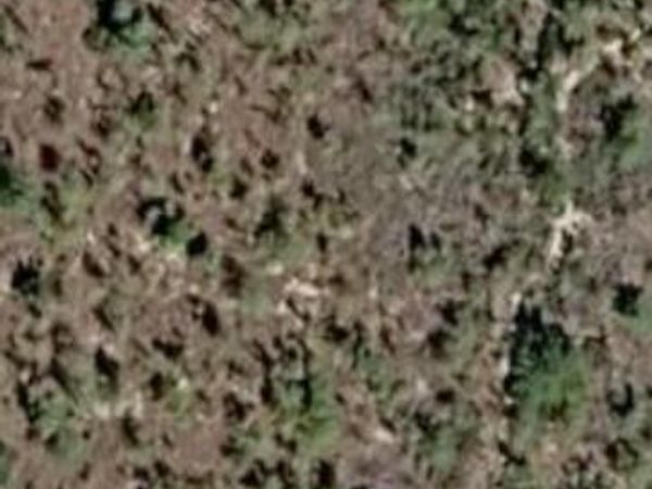 000 Unassigned Location, Interlachen, FL 32148