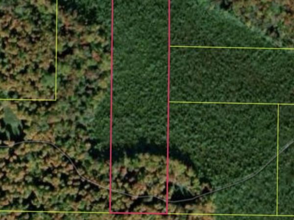 VL Sharon Road, Kalkaska, MI 49646