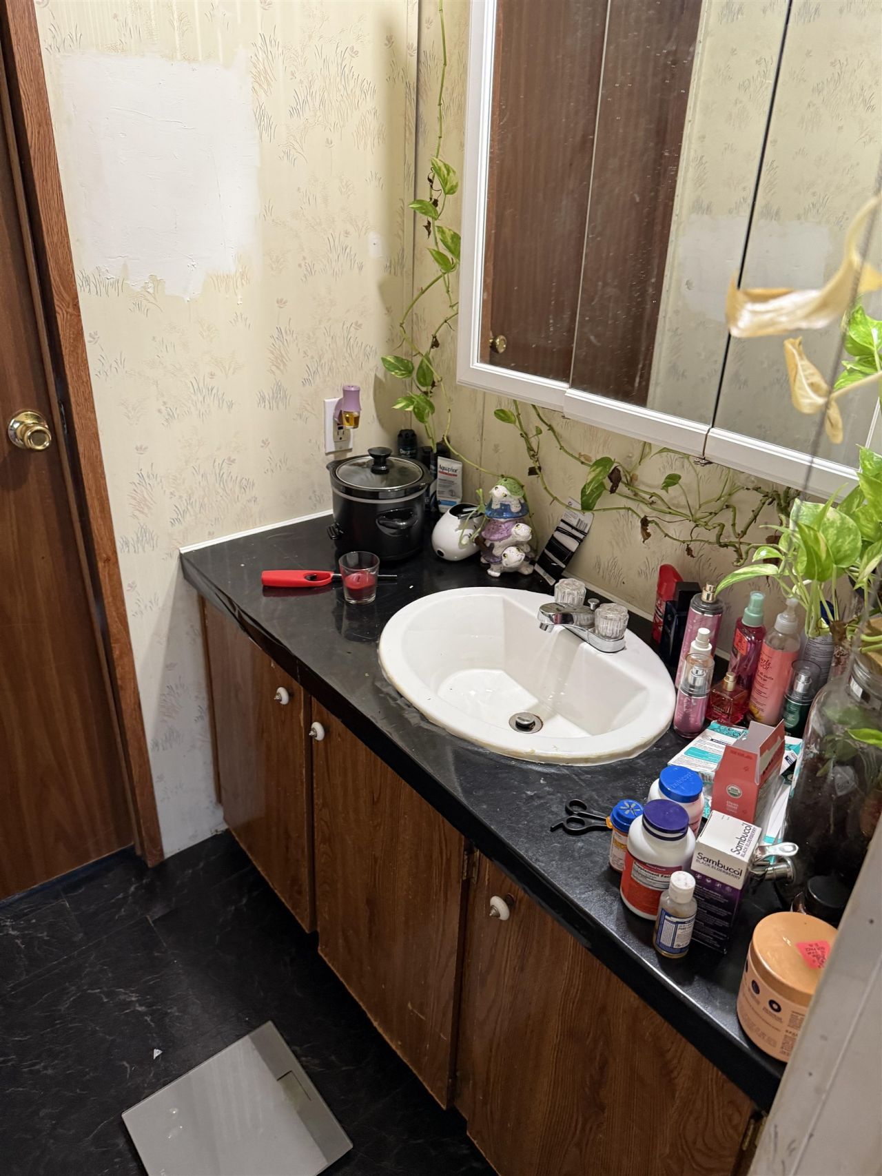 373 Silver Sands Ln. Photo 12