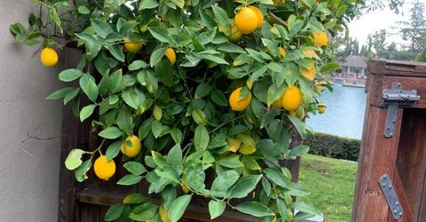 2350 Pheasant Run Cir, Stockton, CA 95207 Photo