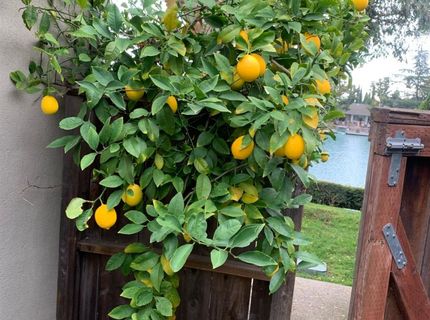 2350 Pheasant Run Cir, Stockton, CA 95207 Photo