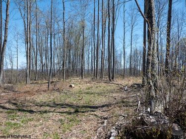 Lot 1 S Preston Highway, Tunnelton, WV 26444