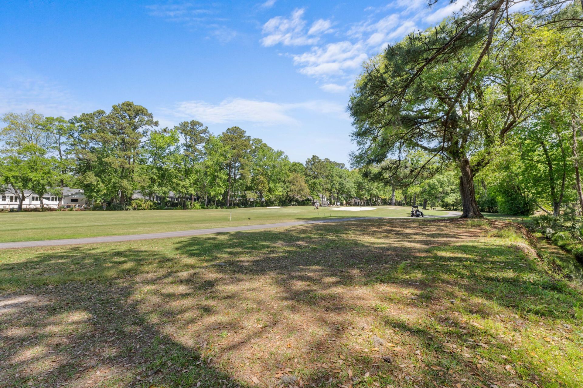 1088 Deleisseline Boulevard Photo 41