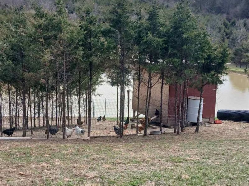 1831 Strait Creek Road, Peebles, OH 45660 Photo 17