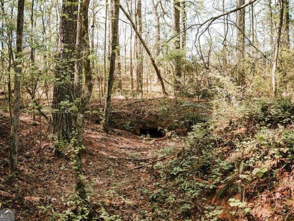 0 Union Point Road, Stephens, GA 30667