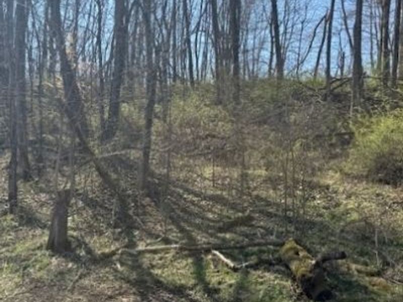 7071 Township Road 466, Unit B, Lakeville, OH 44638 Photo 33