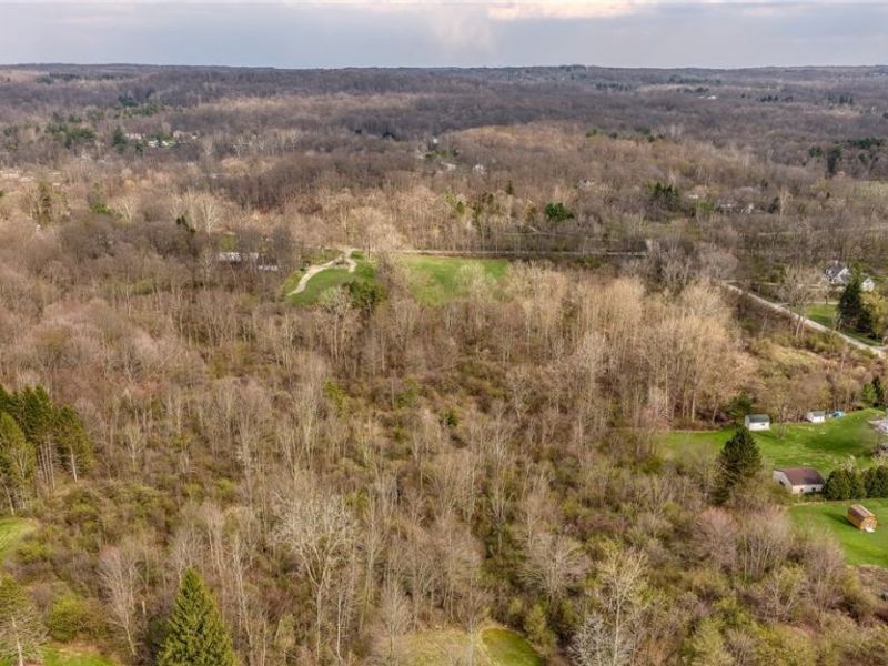 V/L Dewey Road, Kirtland, OH 44094 Photo 7