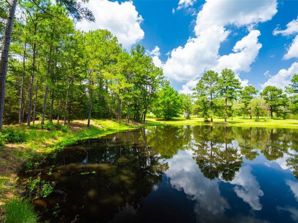 677 Old Antioch RD , Smithville, TX 78957