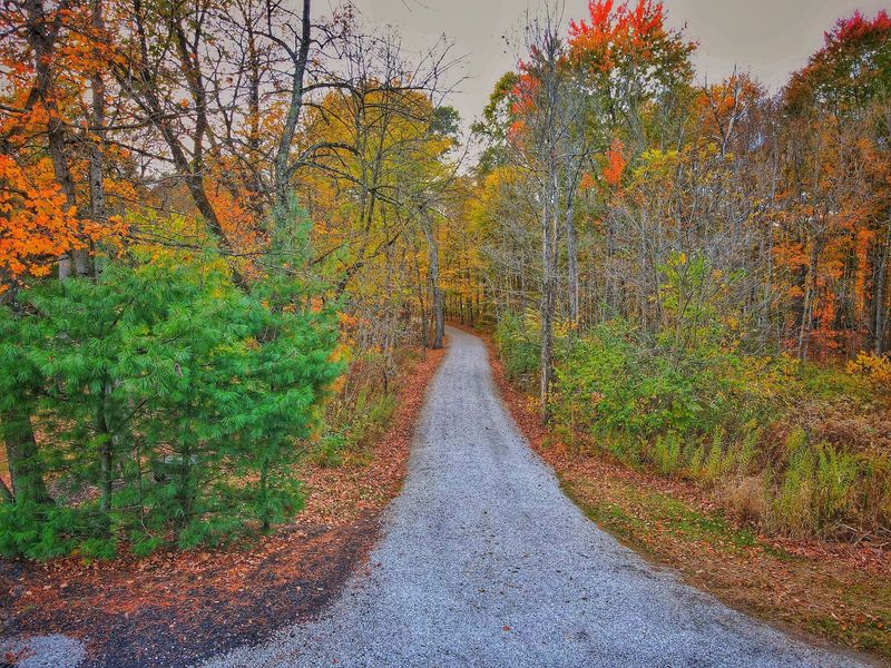 3704 Gale Road, Granville, OH 43023 Photo 67