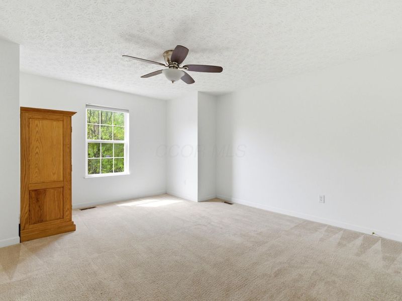 522 Bantry Street, Powell, OH 43065 Photo 38