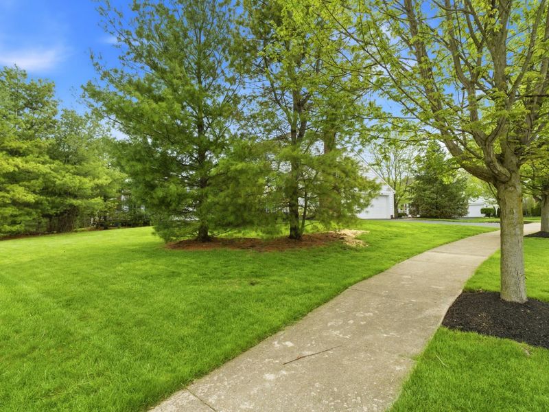 522 Bantry Street, Powell, OH 43065 Photo 48