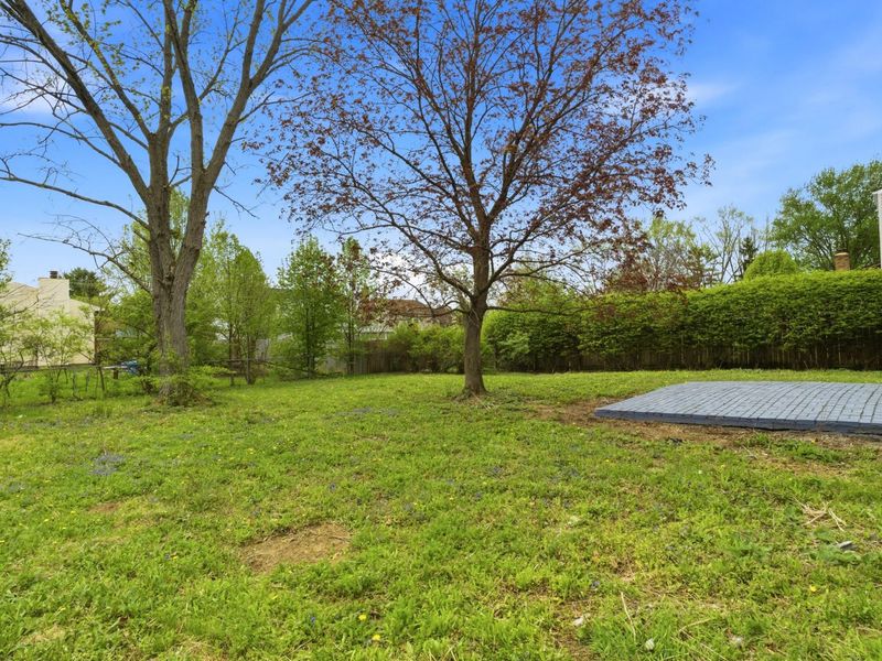 8669 Ripton Drive , Powell, OH 43065 Photo 5