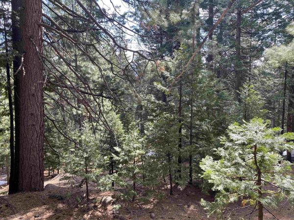 530 Bailey Creek Drive , Lake Almanor, CA 96137