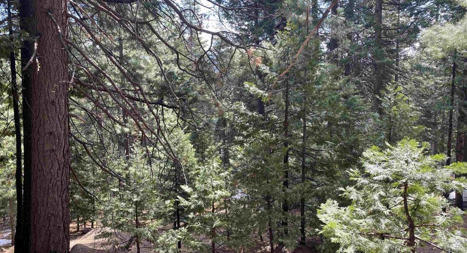 530 Bailey Creek Drive , Lake Almanor, CA 96137 Photo