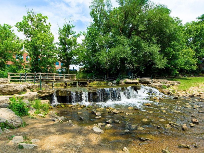 441 Woodside Lake Drive, Columbus, OH 43230 Photo 40