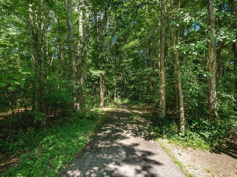 441 Woodside Lake Drive, Columbus, OH 43230 Photo 41