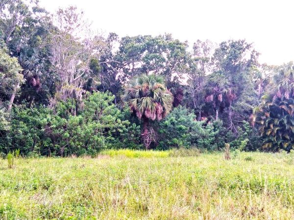 0000 S Us-1, Fort Pierce, FL 34982