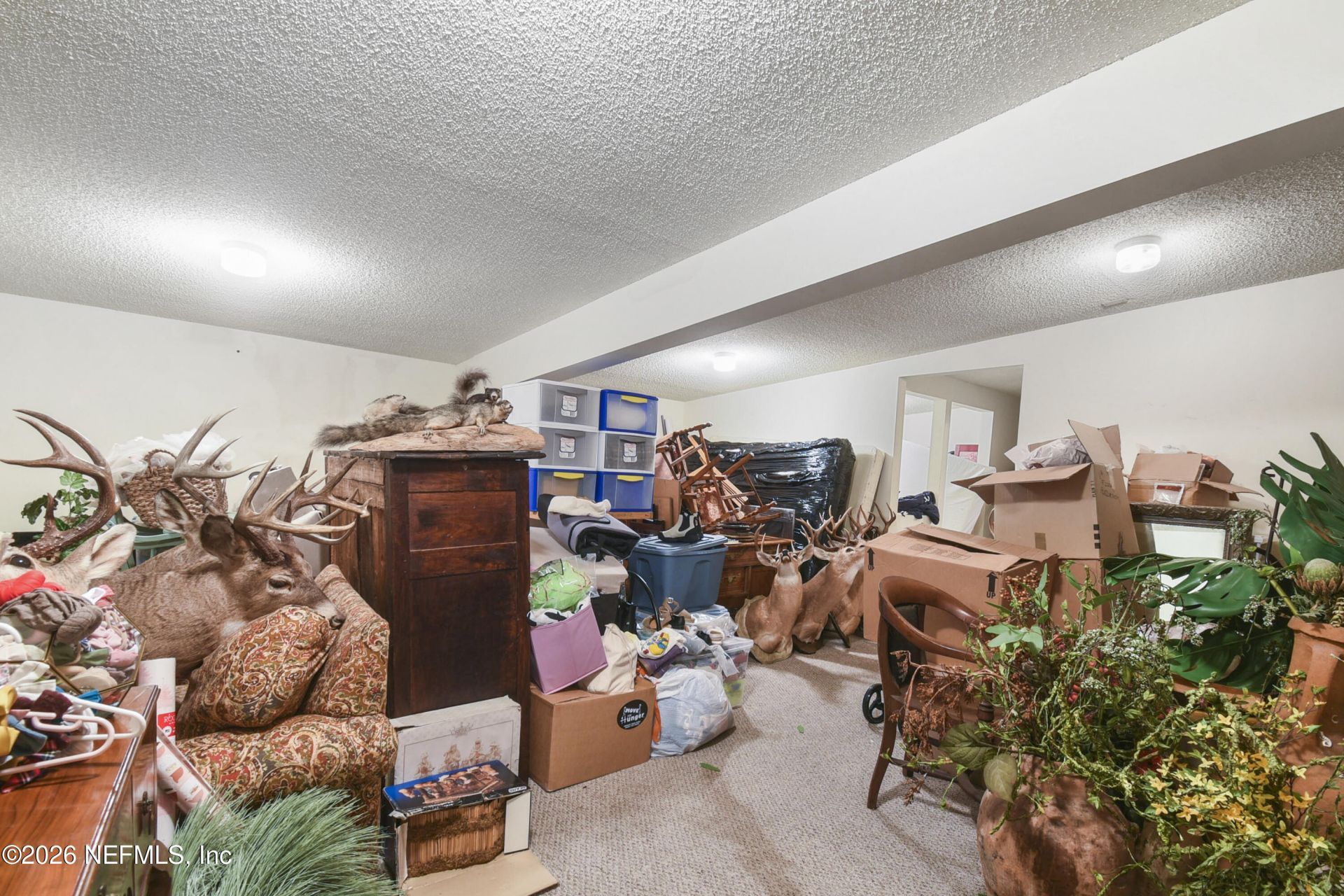 1324 Mattie Street, Saint Augustine, FL 32084 Photo