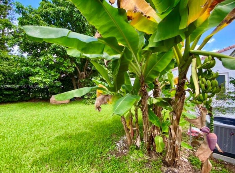 4619 SW 10th St, Unit ., Miami, FL 33134 Photo