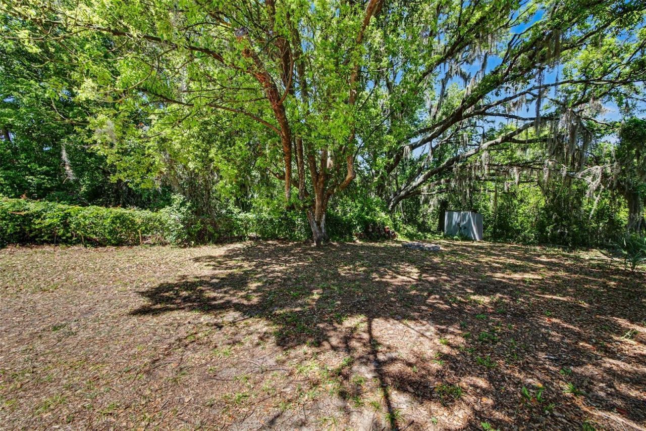 4847 Eagles Nest Road, Fruitland Park, FL 34731 Photo