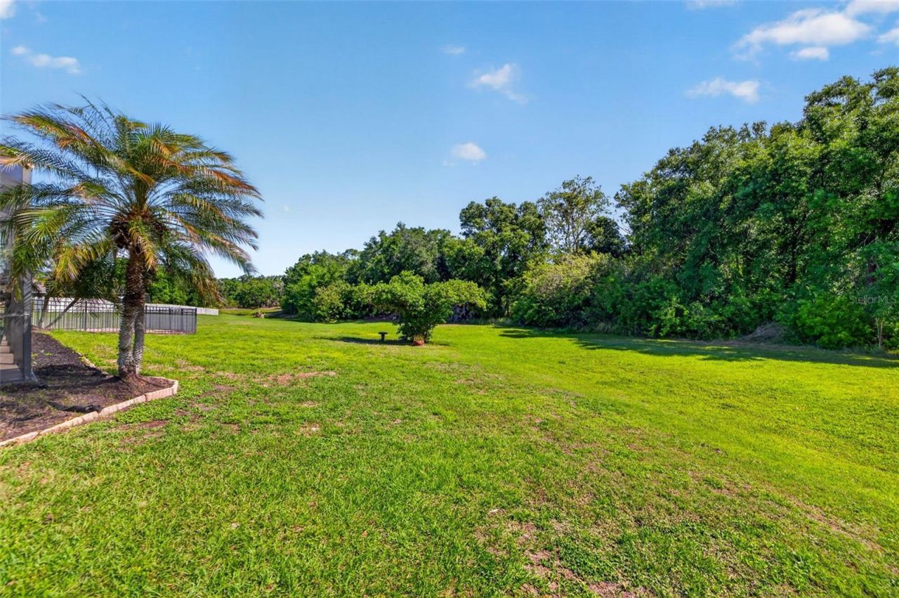 17308 Howling Wolf Run , Parrish, FL 34219 Photo