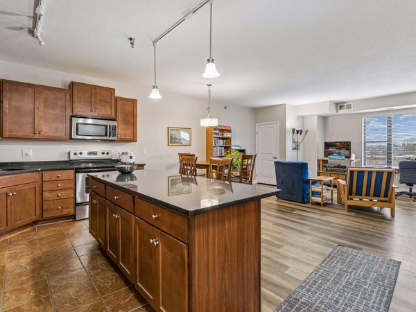 1155 Ford Road, Unit 407, Saint Louis Park, MN 55426