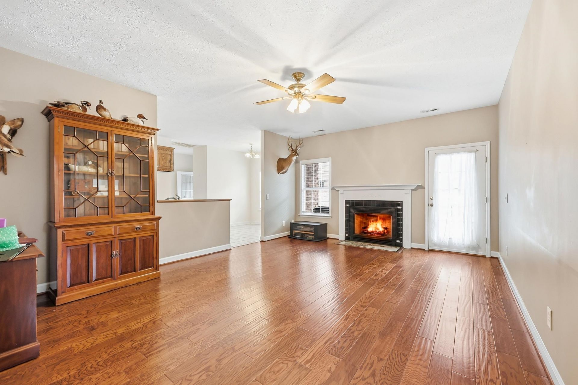 904 Collins St.  Photo 11