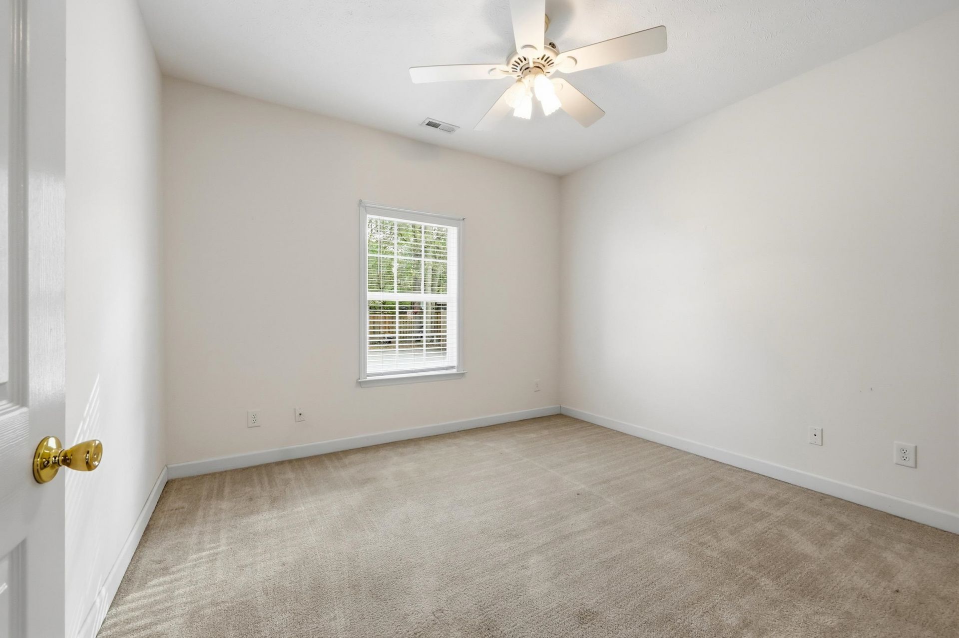 904 Collins St.  Photo 17