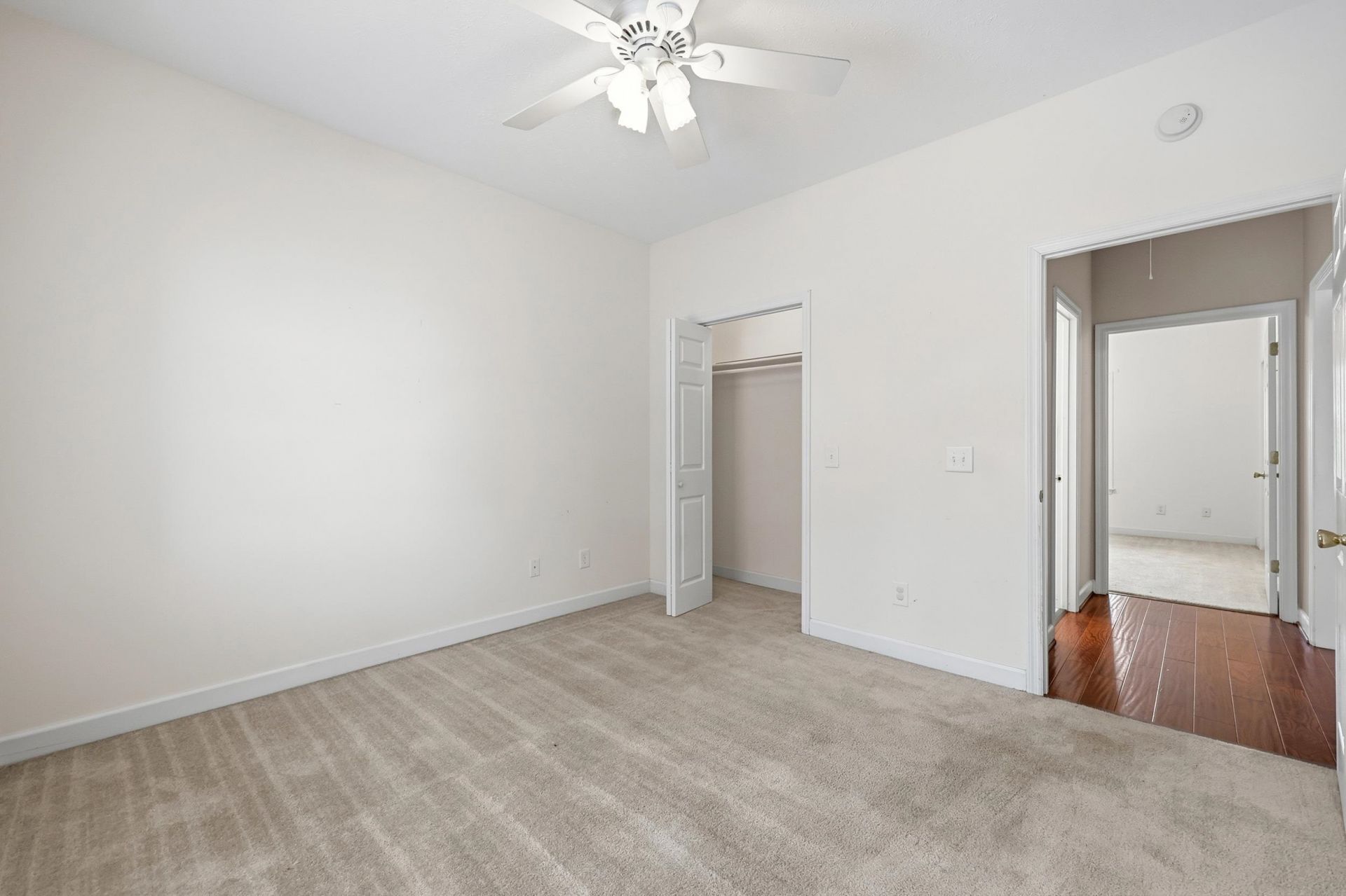 904 Collins St.  Photo 18