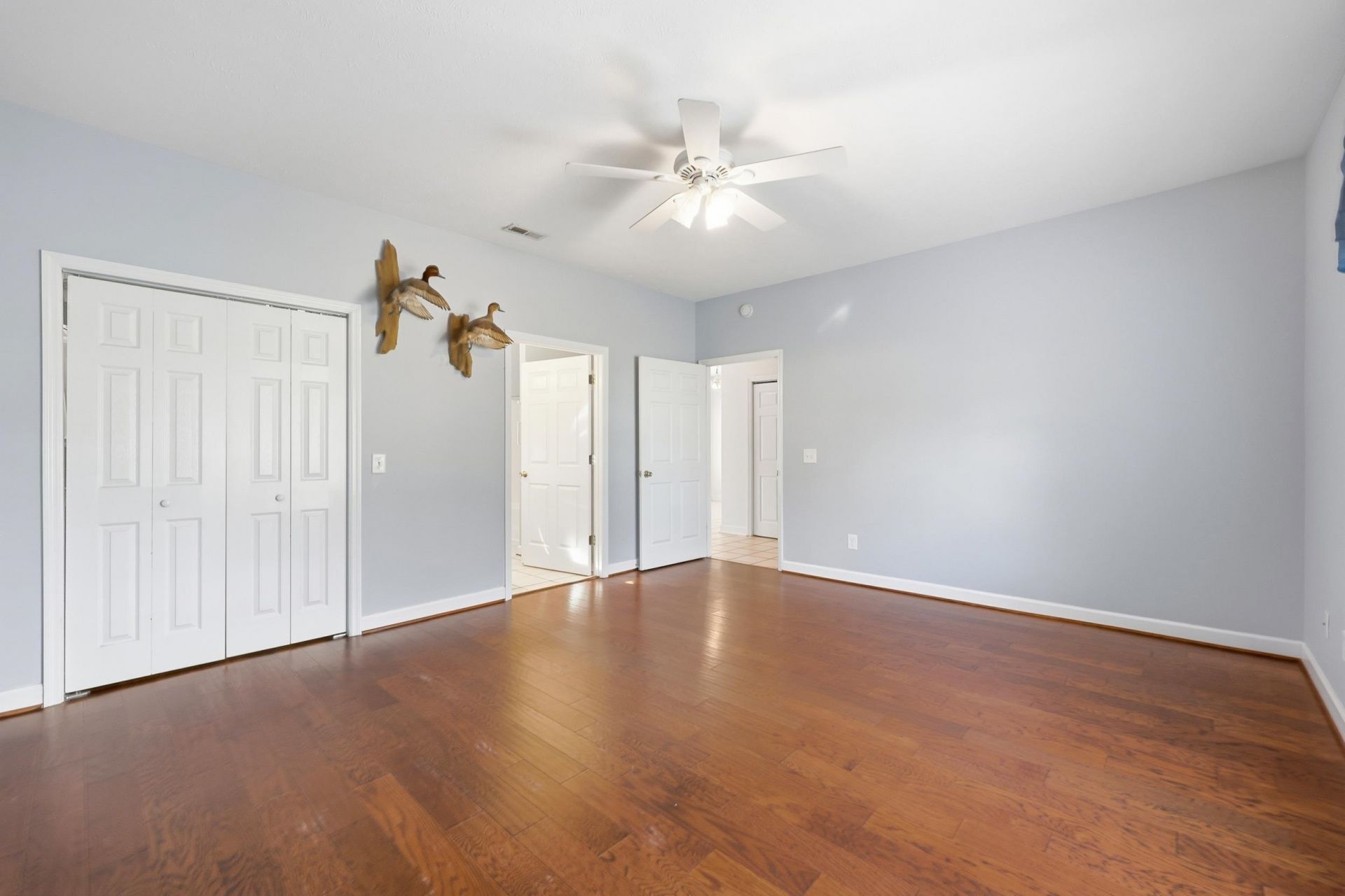 904 Collins St.  Photo 21