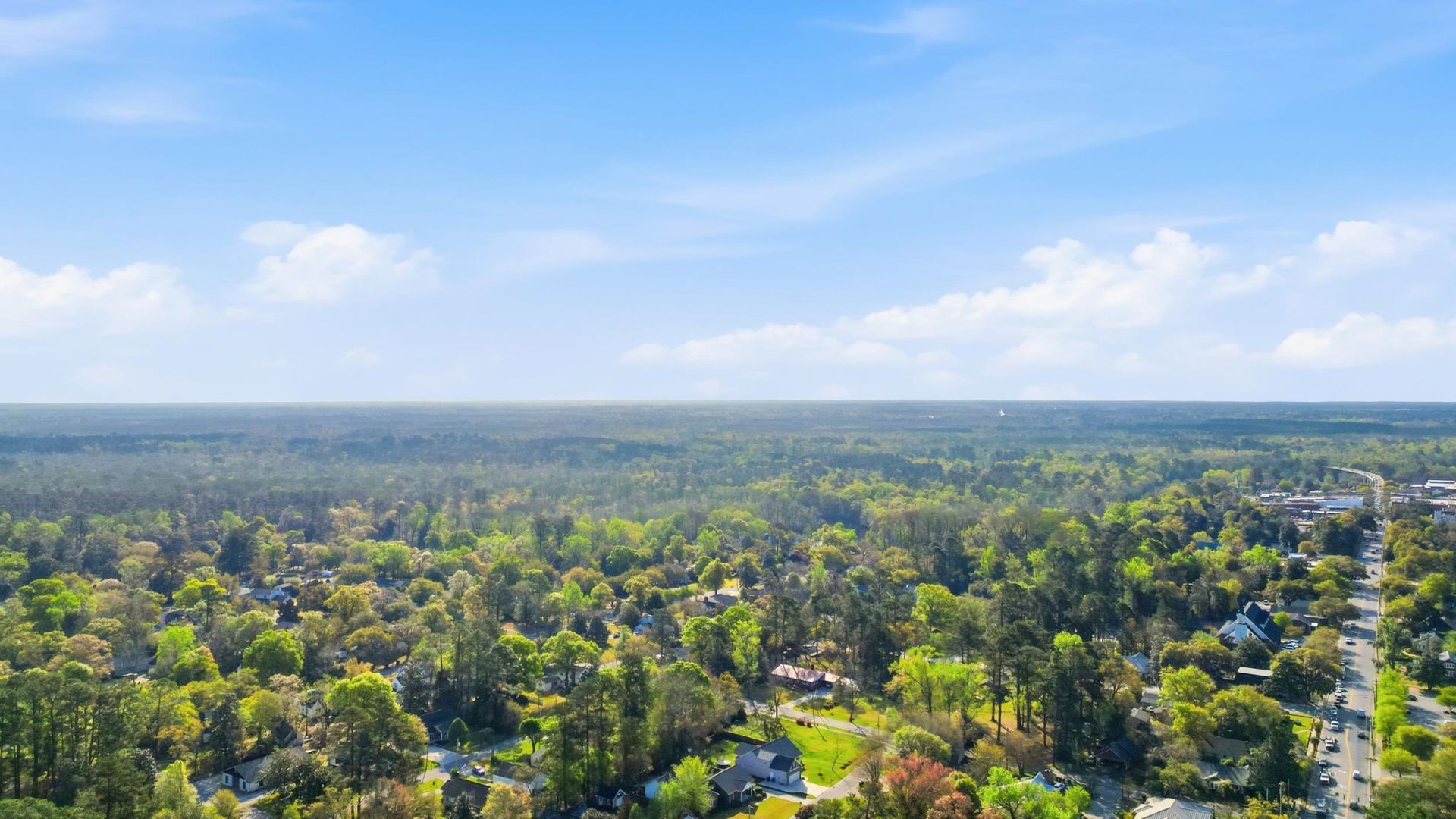 904 Collins St.  Photo 30