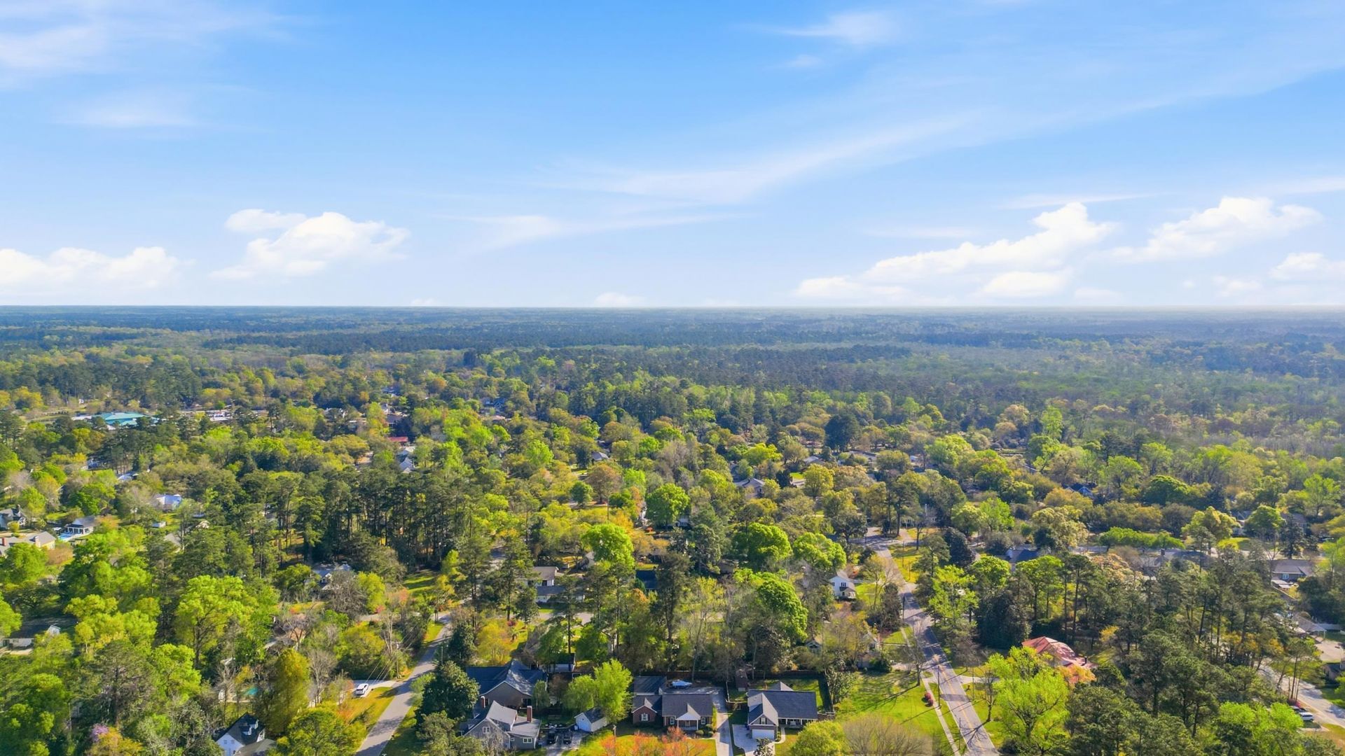 904 Collins St.  Photo 31