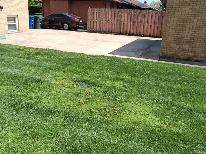 3735 Conway Drive, Columbus, OH 43227 Photo 33