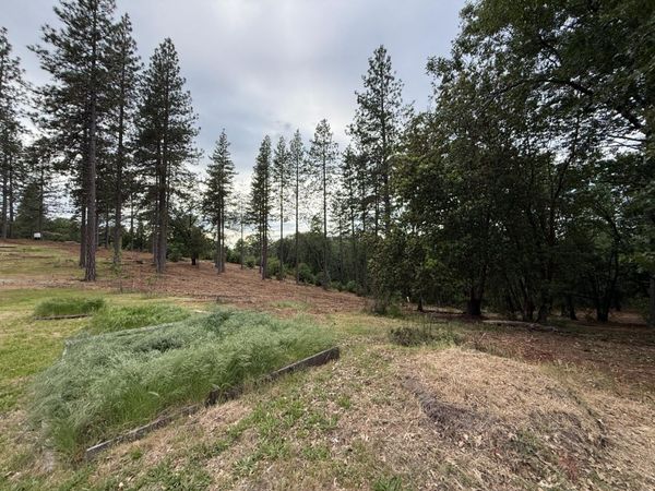 16824 Pine Grove Reservoir, Nevada City, CA 95959