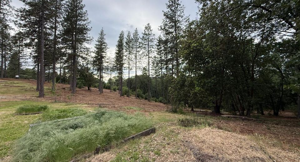 16824 Pine Grove Reservoir, Nevada City, CA 95959 Photo