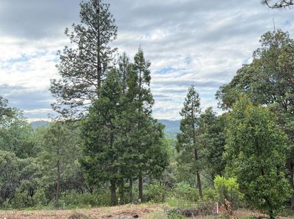 16824 Pine Grove Reservoir, Nevada City, CA 95959 Photo
