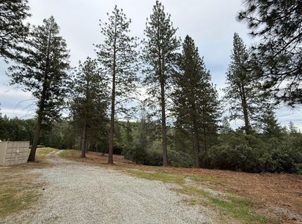 16824 Pine Grove Reservoir, Nevada City, CA 95959 Photo