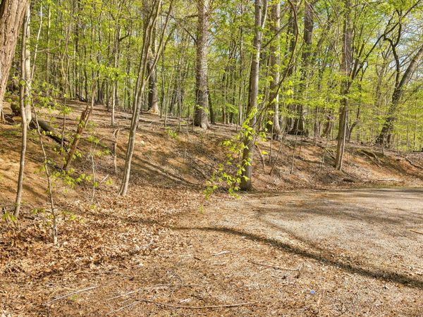 Lot 43 Old Barn RD , Moneta, VA 24121