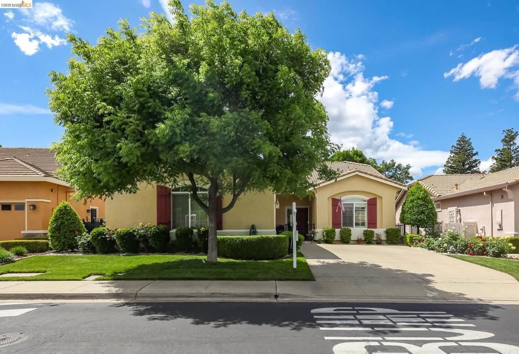 485 Coronation Dr, Brentwood, CA 94513 Main Photo