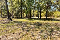 0 Shadow Lane  photo 4