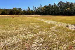 0 Shadow Lane  photo 4