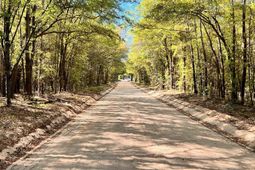 0 Shadow Lane  photo 4