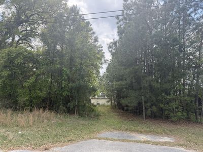 0 Old Back River Road Road, Goose Creek, SC 29445