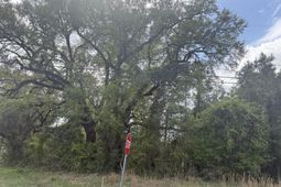 0 Old Back River Road Road photo 4