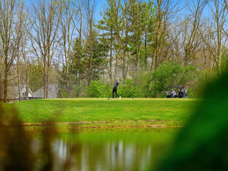 8638 Tartan Fields Drive, Dublin, OH 43017 Photo 133