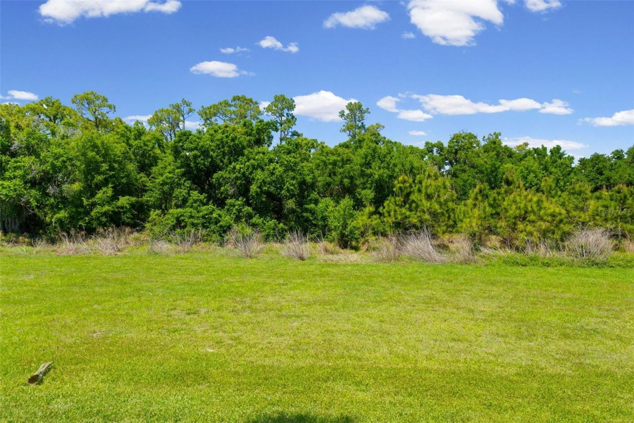 17053 Polo Trail, Lakewood Ranch, FL 34211 Photo