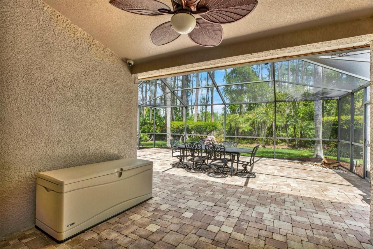 7642 Citrus Blossom Drive, Land O Lakes, FL 34637 Photo