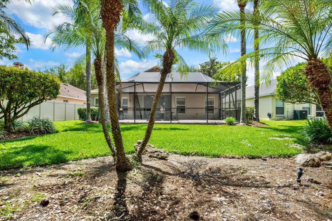 7642 Citrus Blossom Drive, Land O Lakes, FL 34637 Photo