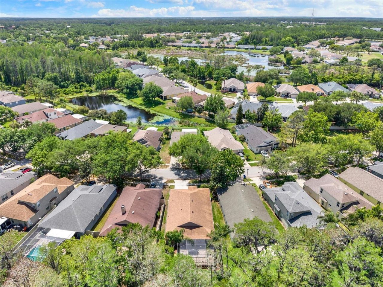 7642 Citrus Blossom Drive, Land O Lakes, FL 34637 Photo